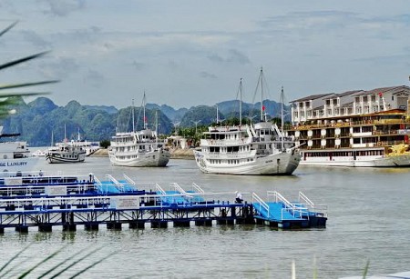 Quảng Ninh cho ngừng hoạt động tàu ở cảng Bãi Cháy