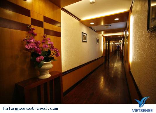 du-lich-halong-du-thuyen-emotion Du Lịch Hạ Long: Vẻ Đẹp Tinh Tế Của Du Thuyền Emotion 4 sao - Ảnh 9