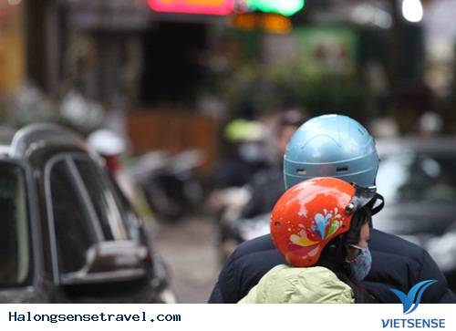 Người Dân Hà Nội Đổ Về Chợ Bưởi Mua Hoa Tết - Ảnh 3 Người Dân Hà Nội Đổ Về Chợ Bưởi Mua Hoa Tết - Ảnh 3