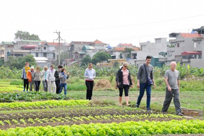 Đông Triều Phấn Đấu Trở Thành Một Trong Những Trung Tâm Du Lịch Của Tỉnh Đông Triều Phấn Đấu Trở Thành Một Trong Những Trung Tâm Du Lịch Của Tỉnh
