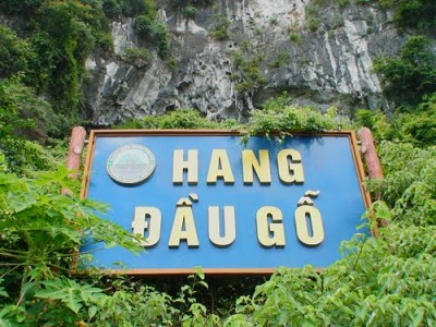 Hang Đầu Gỗ Động Của Các Kỳ Quan Hang Đầu Gỗ Động Của Các Kỳ Quan