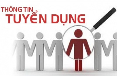 Thông Tin Tuyển Dụng Chuyên Tuyến Hạ Long Thông Tin Tuyển Dụng Chuyên Tuyến Hạ Long