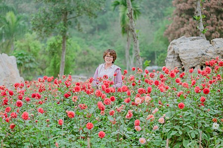 Chùa Bái Đính, Khu danh thắng Tràng An, Vịnh HL 3 ngày 2 đêm