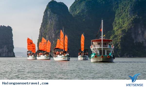 Du ngoạn Hạ Long- Kết nối di sản - Ảnh 4 Du ngoạn Hạ Long- Kết nối di sản - Ảnh 4