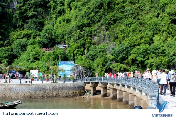 Hạ Long hướng đến mục tiêu xây dựng thành phố tthông minh - Ảnh 3