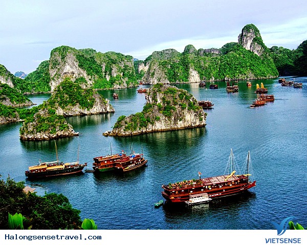 Hạ Long hướng đến mục tiêu xây dựng thành phố tthông minh - Ảnh 2