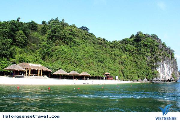 Soi Sim điểm đến hút khách nhất ở Hạ Long - Ảnh 2 Soi Sim điểm đến hút khách nhất ở Hạ Long - Ảnh 2