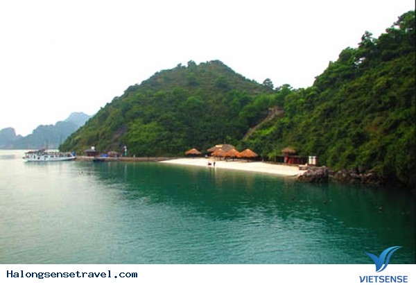 Soi Sim điểm đến hút khách nhất ở Hạ Long - Ảnh 1 Soi Sim điểm đến hút khách nhất ở Hạ Long - Ảnh 1