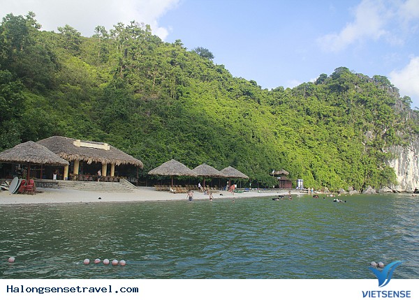 Soi Sim điểm đến hút khách nhất ở Hạ Long - Ảnh 3 Soi Sim điểm đến hút khách nhất ở Hạ Long - Ảnh 3