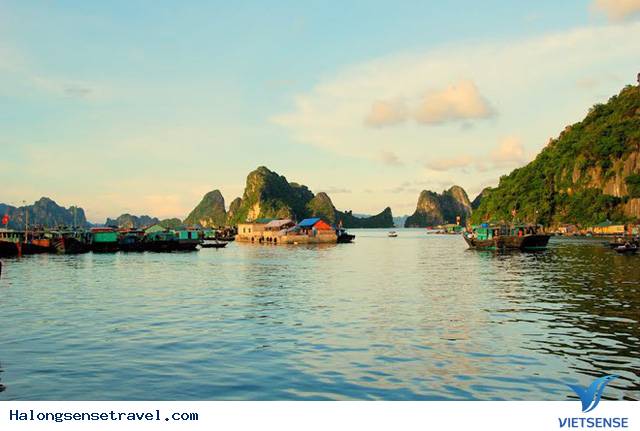 Niềm hứng khởi Của
 Hạ Long - Ảnh 1
