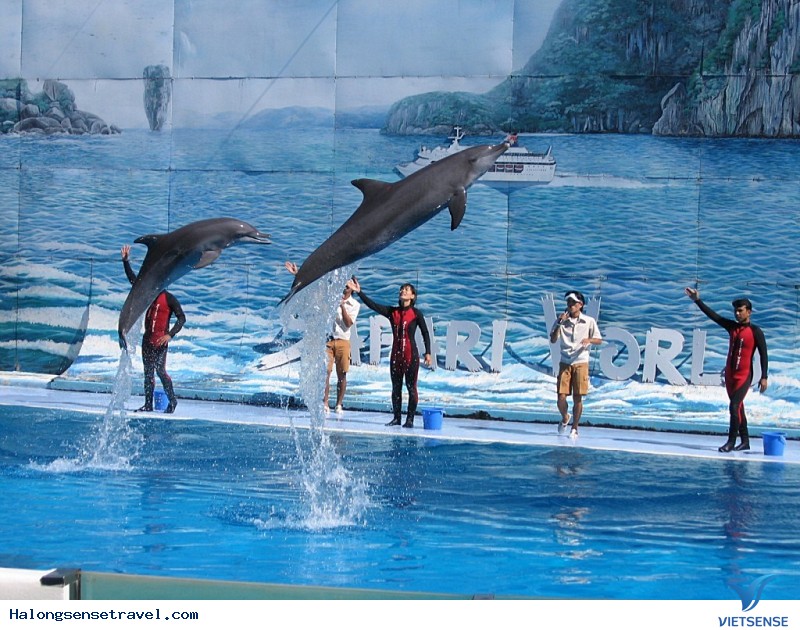 Giới Thiệu Đảo Tuần Châu Hạ Long - Ảnh 3 Giới Thiệu Đảo Tuần Châu Hạ Long - Ảnh 3