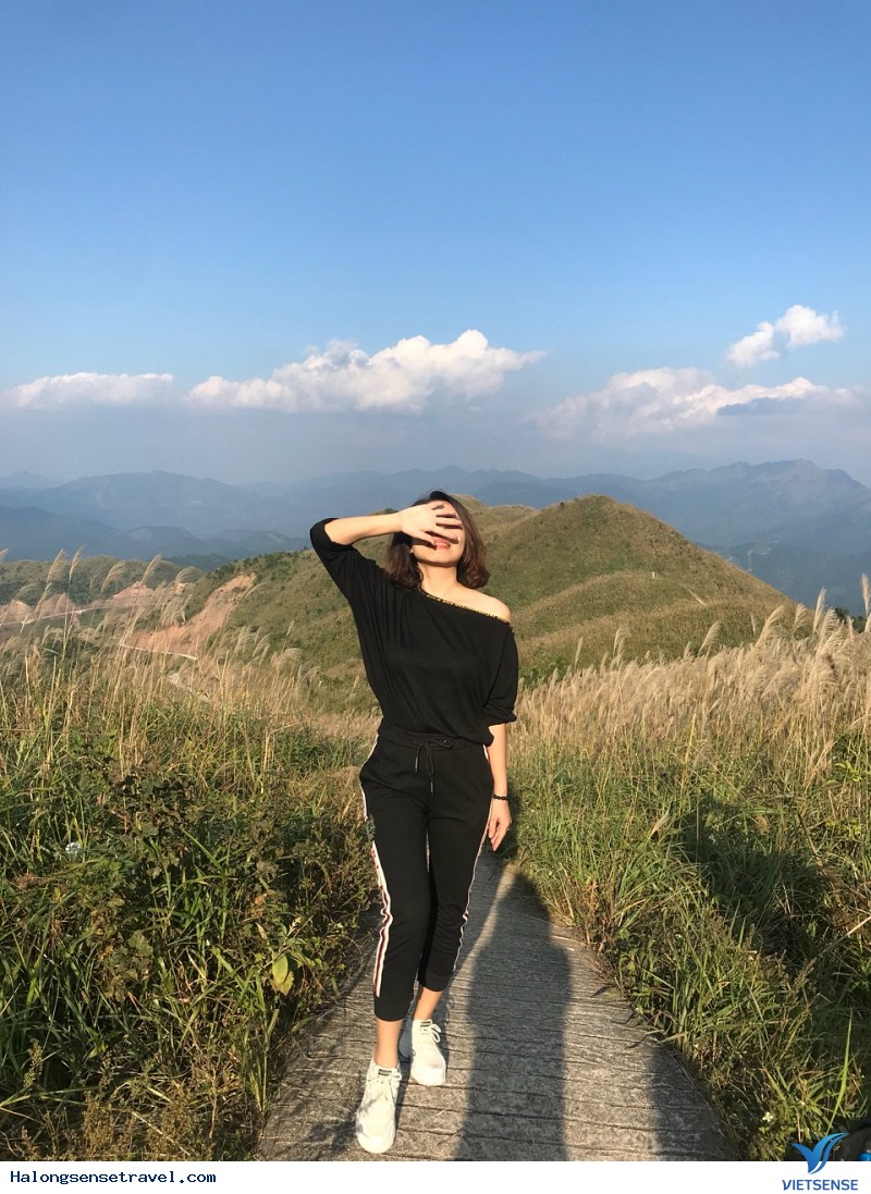 Phượt Bình Liêu Khi Đồi Lau Bung Nở - Ảnh 5