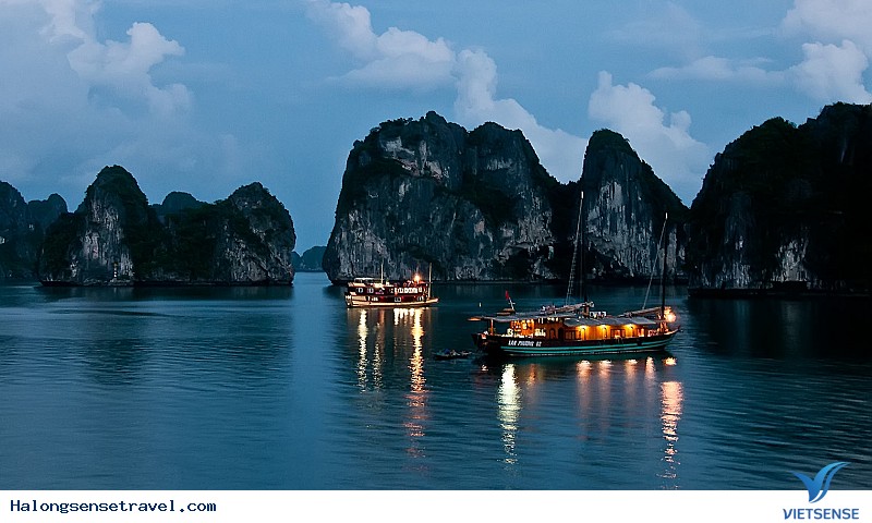 Tàu tham quan Vịnh hạ Long: