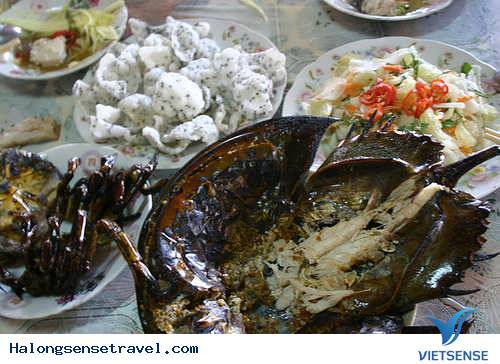 Sam Quảng Yên Sam Quảng Yên