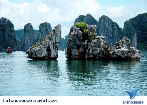 Vịnh Hạ Long Kỳ Quan Thiên Nhiên, hành trình Ha Long