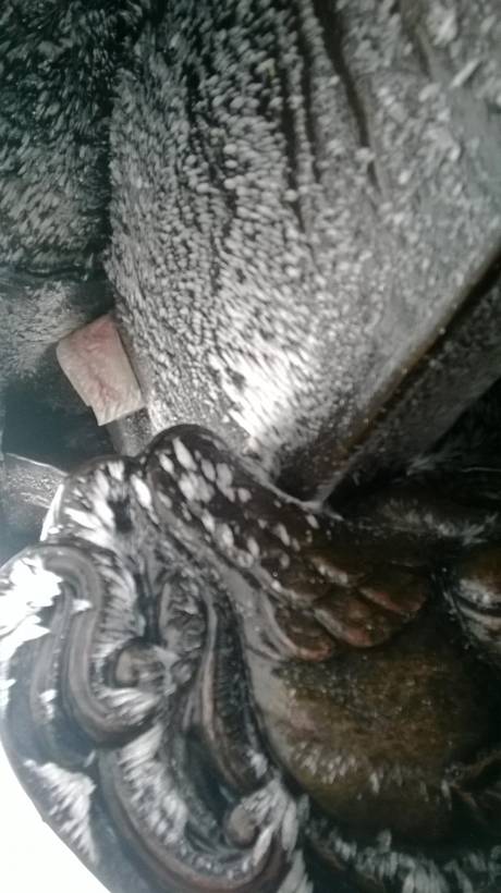 Băng Tuyết Phủ Trắng Chùa Đồng - Yên Tử - Ảnh 7