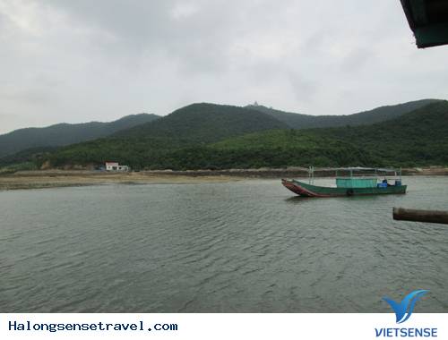 Biển Trời Trong Xanh Ở Đảo Trần - Ảnh 9