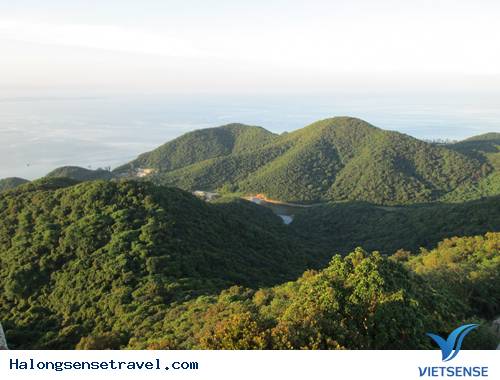 Biển Trời Trong Xanh Ở Đảo Trần - Ảnh 7