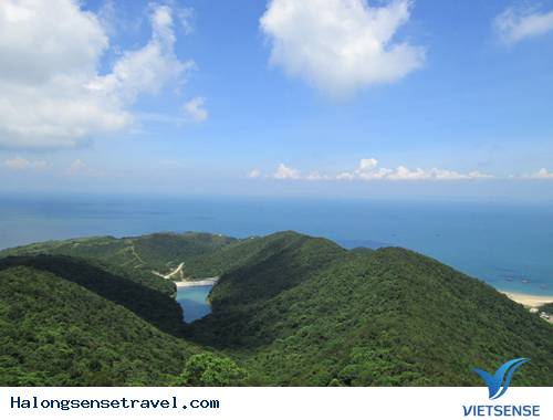 Biển Trời Trong Xanh Ở Đảo Trần - Ảnh 6