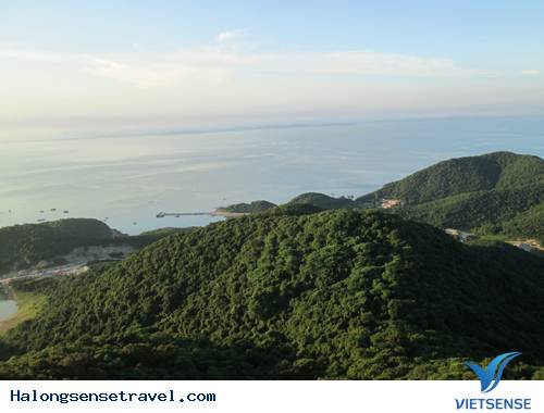 Biển Trời Trong Xanh Ở Đảo Trần - Ảnh 8