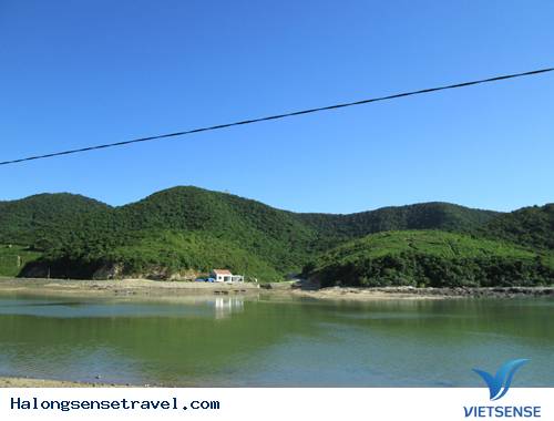 Biển Trời Trong Xanh Ở Đảo Trần - Ảnh 3