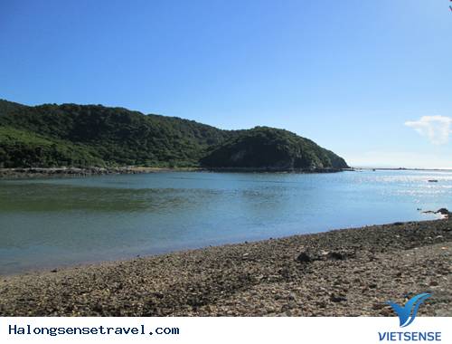 Biển Trời Trong Xanh Ở Đảo Trần - Ảnh 5