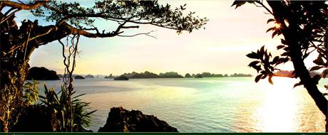 Bình Minh Hạ Long - Ảnh 5