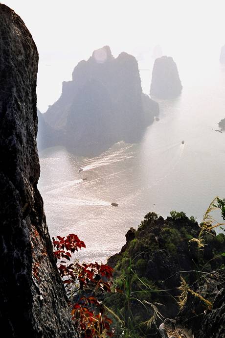 Bình Minh Hạ Long - Ảnh 2