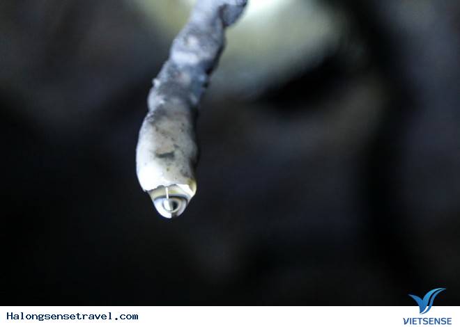 Công bố những hình ảnh về hang động mới trên vịnh Bái Tử Long - Ảnh 5 Công bố những hình ảnh về hang động mới trên vịnh Bái Tử Long - Ảnh 5