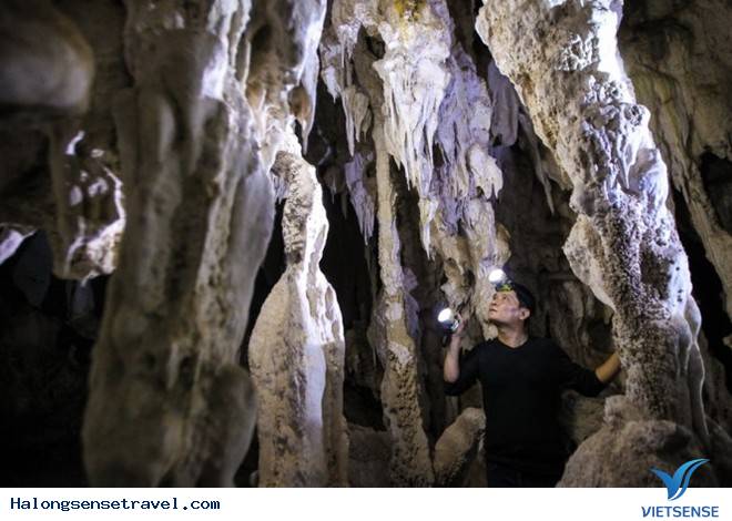 Công bố những hình ảnh về hang động mới trên vịnh Bái Tử Long - Ảnh 8 Công bố những hình ảnh về hang động mới trên vịnh Bái Tử Long - Ảnh 8