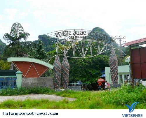 Thăm vườn Quốc gia Cát Bà Thăm vườn Quốc gia Cát Bà