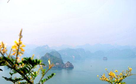 Đảo Soi Sim Điểm Đến Mùa Hè Lý Tưởng - Ảnh 5