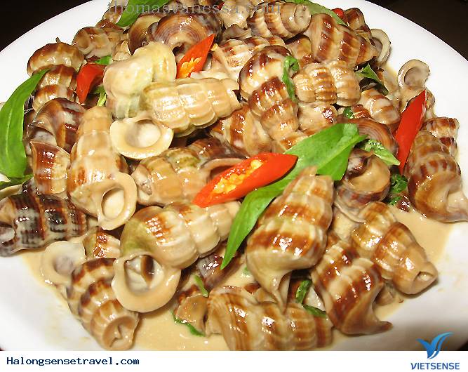 Các Món Ốc Ngon Hạ Long - Ảnh 3 Các Món Ốc Ngon Hạ Long - Ảnh 3
