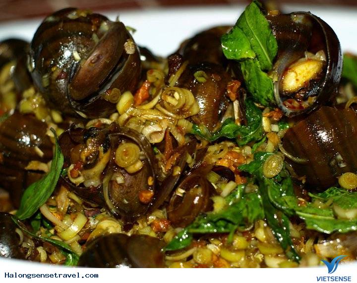 Các Món Ốc Ngon Hạ Long - Ảnh 2 Các Món Ốc Ngon Hạ Long - Ảnh 2