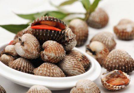 Sò huyết Hạ Long