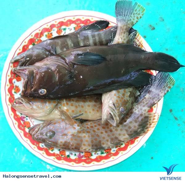 Những Món Ăn Ngon Khó Cưỡng Tại Hạ Long (P3) - Ảnh 3 Những Món Ăn Ngon Khó Cưỡng Tại Hạ Long (P3) - Ảnh 3