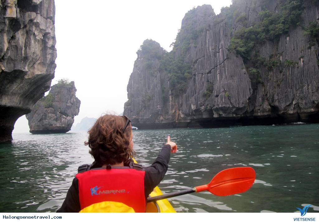 Thăm Quan Hạ Long Và 8 Trải Nghiệm Khó Quên - Ảnh 4