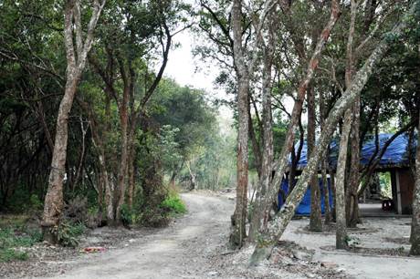 Vân Đồn: Những Điểm Đến Ấn Tượng - Ảnh 4 Vân Đồn: Những Điểm Đến Ấn Tượng - Ảnh 4