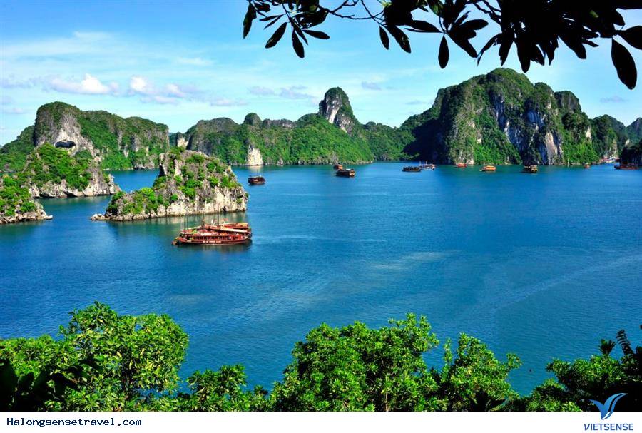 Hạ long Lọt Vào Top 20 Kỳ Quan Thiên Nhiên Ngoạn Mục Nhất - Ảnh 1 Hạ long Lọt Vào Top 20 Kỳ Quan Thiên Nhiên Ngoạn Mục Nhất - Ảnh 1