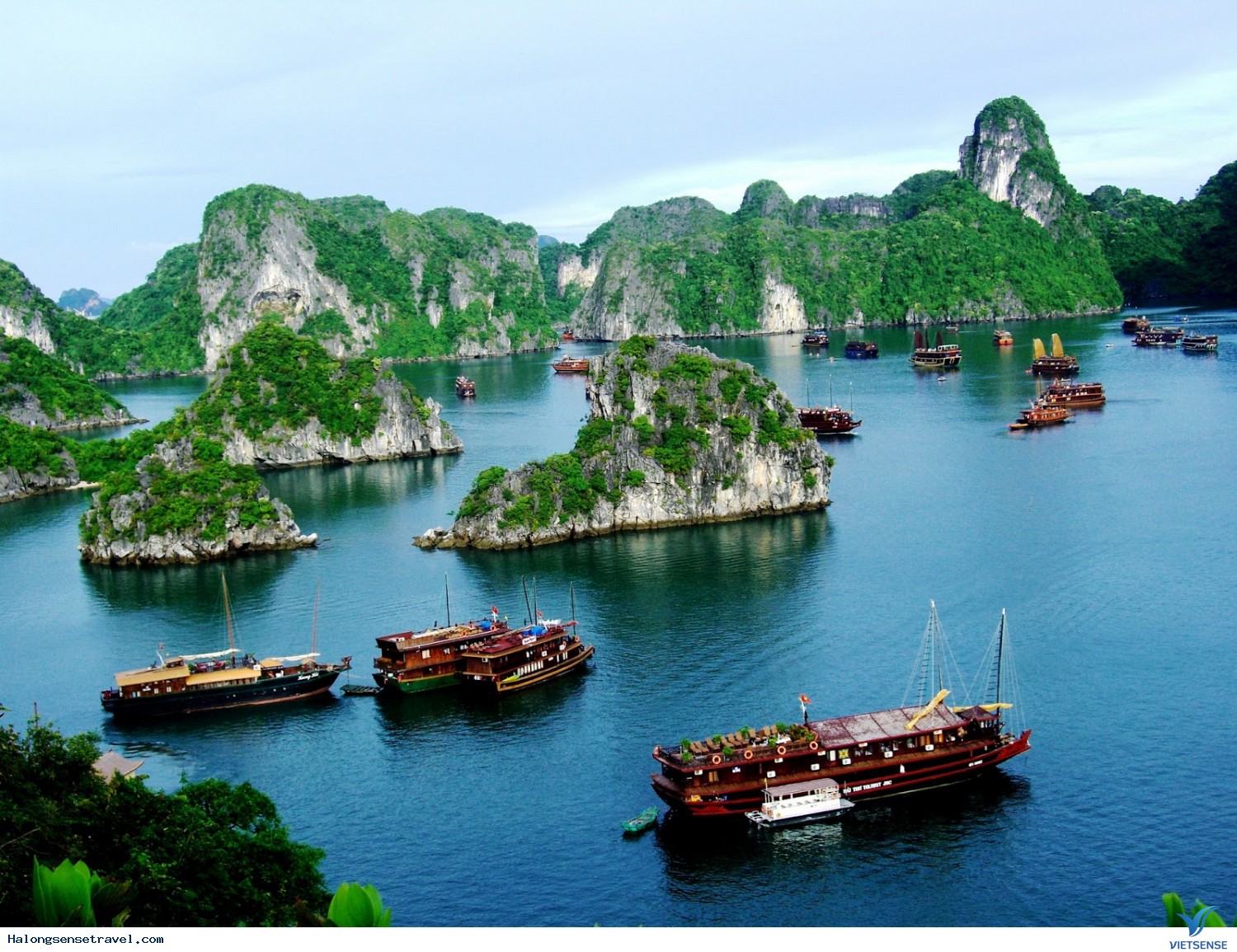 Hạ Long Lọt Vào Top Những Điểm Câu Cá Thú Vị Của Thế Giới - Ảnh 1 Hạ Long Lọt Vào Top Những Điểm Câu Cá Thú Vị Của Thế Giới - Ảnh 1