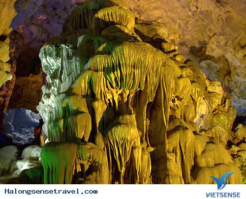 Hang Đầu Gỗ Động Của Các Kỳ Quan - Ảnh 3