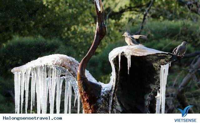 Hình Ảnh Băng Tuyết Bao Phủ Các Quốc Gia Châu Á - Ảnh 6 Hình Ảnh Băng Tuyết Bao Phủ Các Quốc Gia Châu Á - Ảnh 6