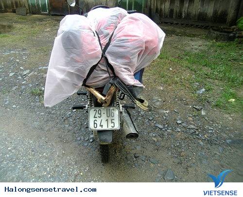 Chuẩn bị đồ đạc Chuẩn bị đồ đạc