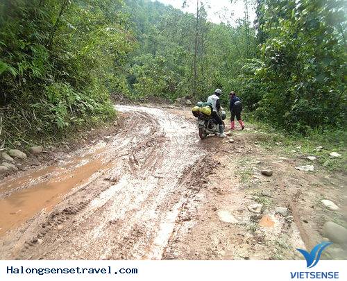 Kiểm tra thời tiết Kiểm tra thời tiết