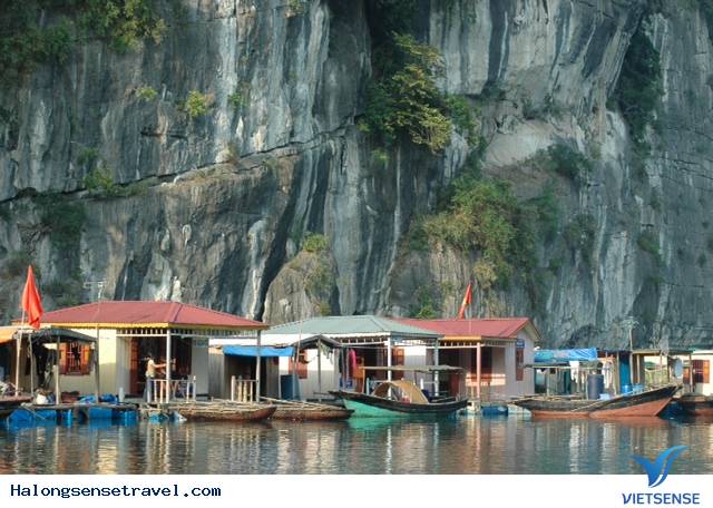 Làng Chài Vung Viêng - Ảnh 2