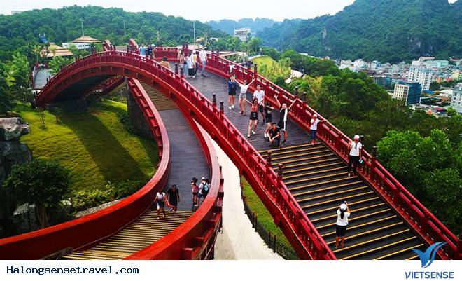 Cầu Koi ở đâu Hạ Long? - Ảnh 2 Cầu Koi ở đâu Hạ Long? - Ảnh 2