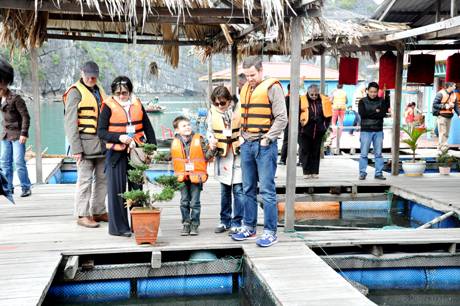 Mùa Xuân Thăm Làng Chài Vung Viêng - Ảnh 1 Mùa Xuân Thăm Làng Chài Vung Viêng - Ảnh 1
