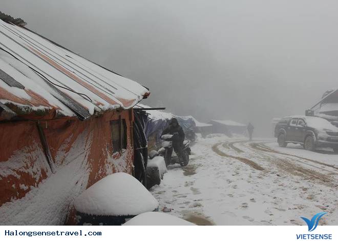 Nghệ An Tuyết Dơi Dày 20cmm - Ảnh 3 Nghệ An Tuyết Dơi Dày 20cmm - Ảnh 3