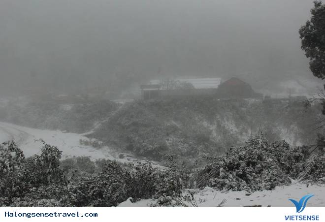 Nghệ An Tuyết Dơi Dày 20cmm - Ảnh 9 Nghệ An Tuyết Dơi Dày 20cmm - Ảnh 9