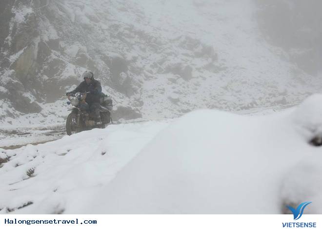 Nghệ An Tuyết Dơi Dày 20cmm - Ảnh 5 Nghệ An Tuyết Dơi Dày 20cmm - Ảnh 5